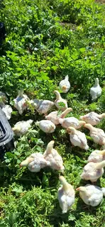 20260430_135021_898.webp